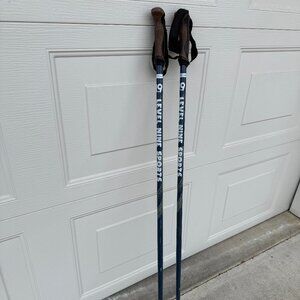 Level Nine Sports Aluminum Ski Poles | 44”